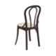 Supreme Pearl Cane Premium Plastic Teakwood Matt Finish Chair without Arm (Pack of 2)