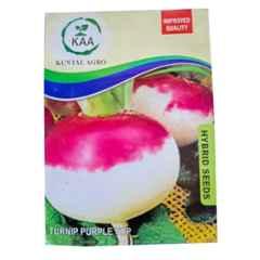 Kuntal Agro 20g Turnip Hybrid Vegetable Seeds