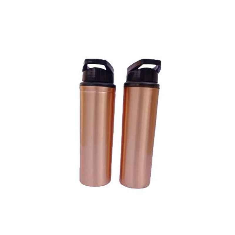 Healthchoice 750ml Copper Yuva Design Sipper (Pack of 2)
