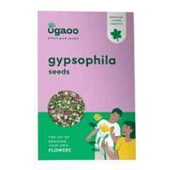 Ugaoo 1.9g Flower Gypsophila Seeds, NUFSO043