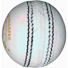 HTM T-20 White Cricket Leather Ball