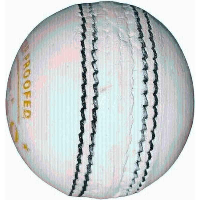 HTM T-20 White Cricket Leather Ball