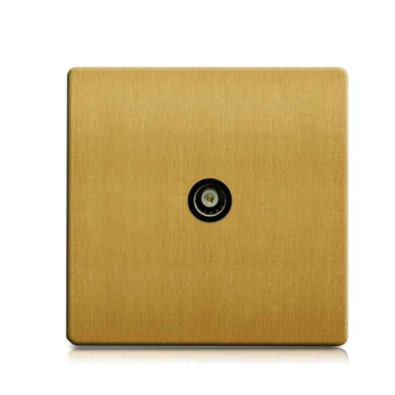 RR Vivan Metallic Brushed Gold 1-Gang Isolated Outlet Co-Axial Socket with Black Insert, VN6641M-B-BG