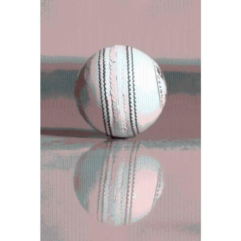 GEM Sports Standard White Club Cricket Leather Ball