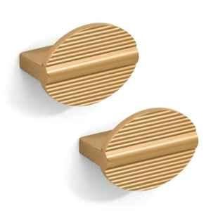 Plantex Knobs for Drawers/Round Drawer Knobs for Cabinets/Pull-Push Knobs for Kitchen/Bedroom Drawer (Pack of 2) Gold