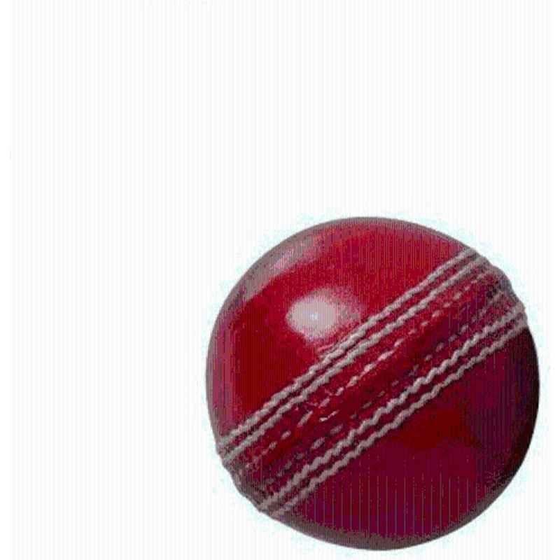 SSB SSB1001 Red Leather Cricket Ball