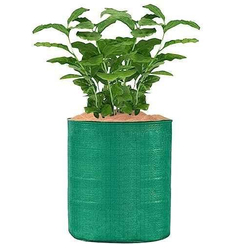 Buy Go Hooked Green Plastic UV Treated Grow Bags For Terrace Gardening 15  inch x 15 inch (Pack of 2) Online at Best Prices in India - JioMart.
