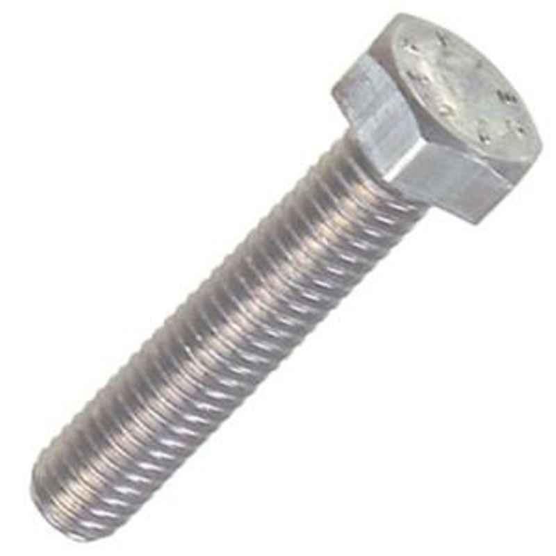 World Fasteners Stainless Steel Long Length Hex Screw (Dia - 27mm, Length - 300mm)