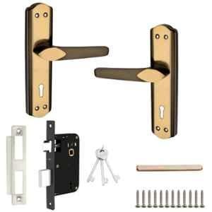 Buckler 8 inch Iron Gold & Black Matte Mortise Door Handle Set, B-331V