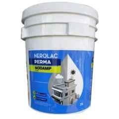Nerolac NODAMP 10L Waterproofing Chemical
