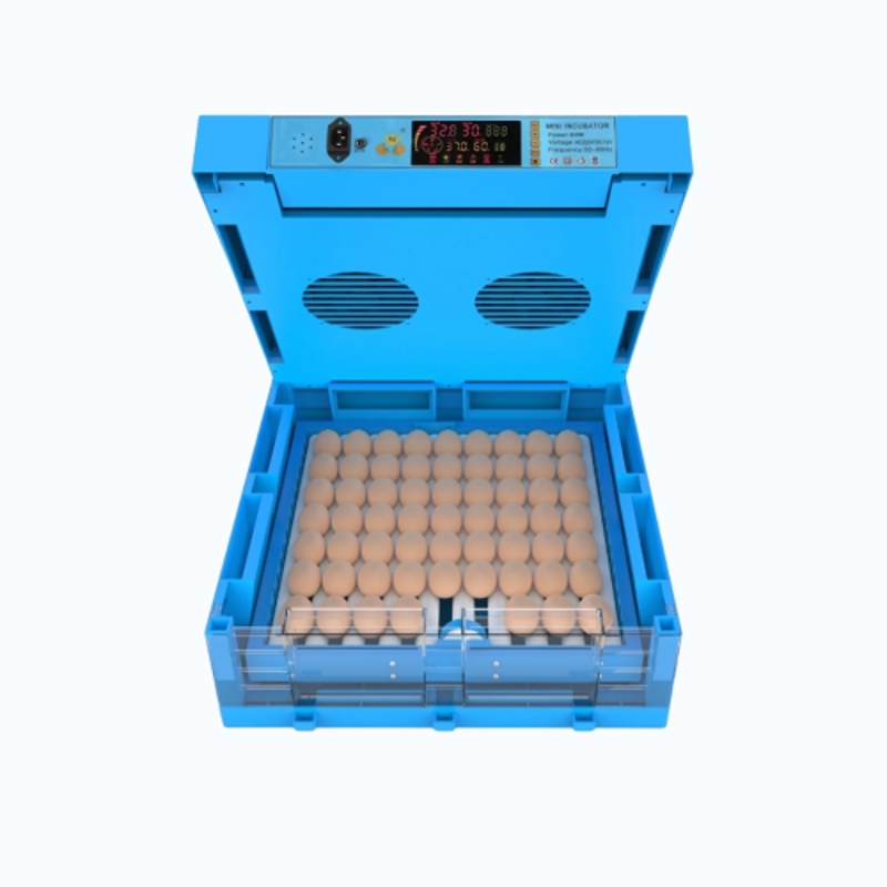 Bravix 64 Eggs 50W Automatic Egg Incubator with Turning Tray