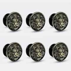 Plantex Lion Face Knobs for Drawer | Kitchen Cabinet Knobs | Pulls Handles for Wardrobe Kitchen (Pack of 6) Brass-Antique