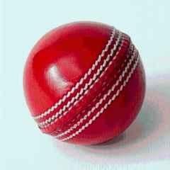 Shourya Traders Leather Cricket Ball