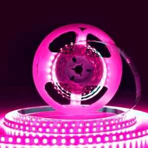 Forus 12V 5m 10mm Pink LED Strip Light