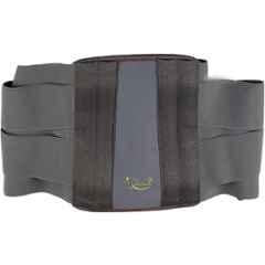 Safehhed SH24 Back Support Grey Waist Belt, Size: M