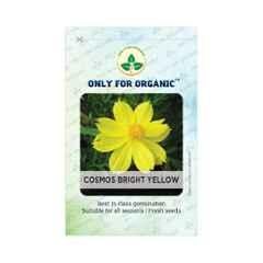 Only For Organic 50g Yellow Cosmos Flower Seeds, OFOPPCOC0050