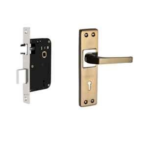 Buckler 7 inch Iron Gold Silver Glossy Mortise Door Handle Set, B-353