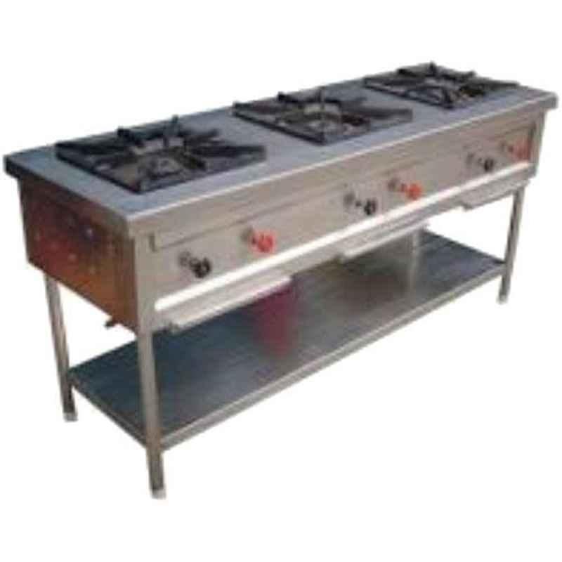 Shree Chamunda 45x32x24 inch Gas Range