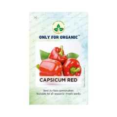 Only For Organic 50g Red Capsicum Vegetable Seeds, OFOPPCAR0020