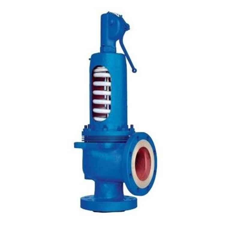 Leser DN 40x50 441 IC Type Flanged Safety Relief Valve