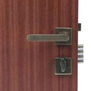 Handle Waala Rose LB-304 60mm Stainless Steel Silver One Side Key Mortise Door Lock Set