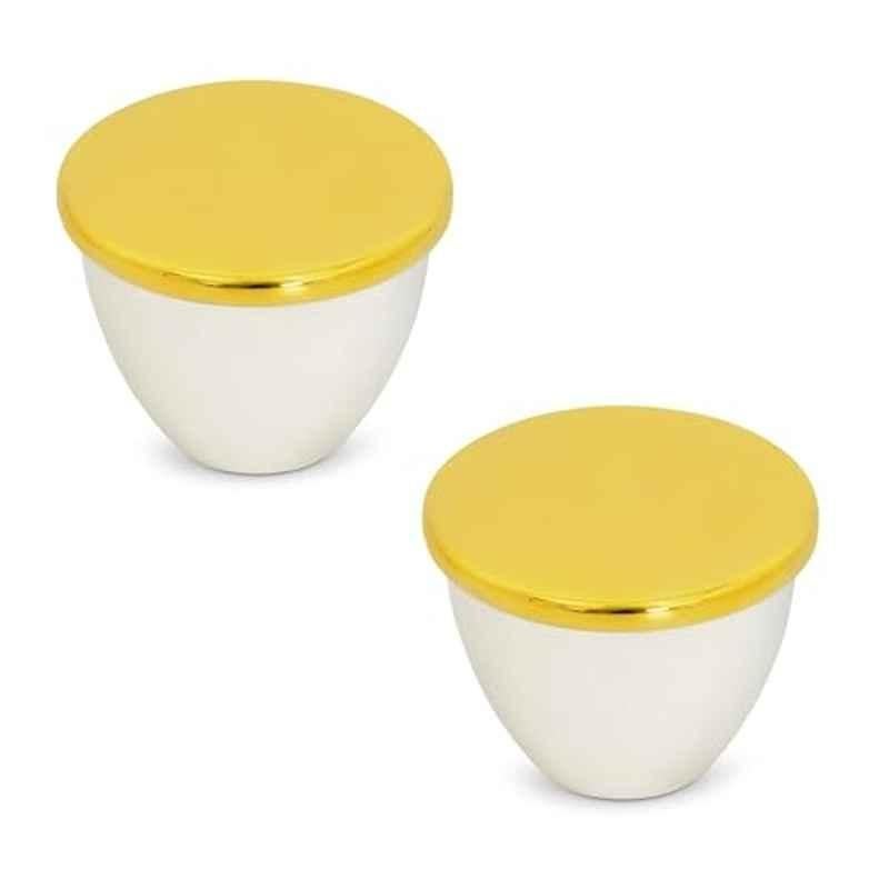 Plantex Knobs for Drawer/Drawer Knobs/Knobs for Cabinets/Pull-Push Knobs for Kitchen/Bedroom Drawer (Pack of 2) Gold & White