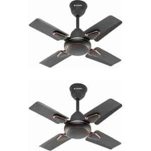 Candes Brio 50W Coffee Brown 4 Blade Anti Dust Ceiling Fan, Sweep: 600 mm (Pack of 2)