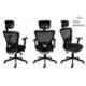 Rose Teesla Black Mesh High Back Swivel Desk Adjustable Ergonomic Chair with Headrest, Armrest & 2D Lumbar Support