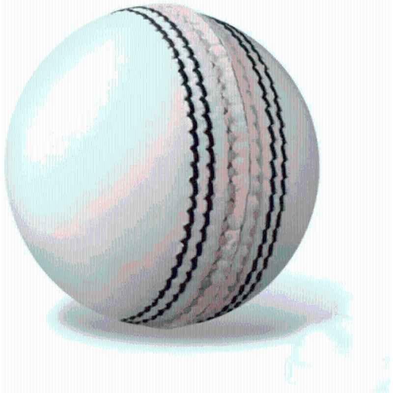 HHS Sports White Leather Cricket Ball