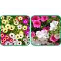 product_img