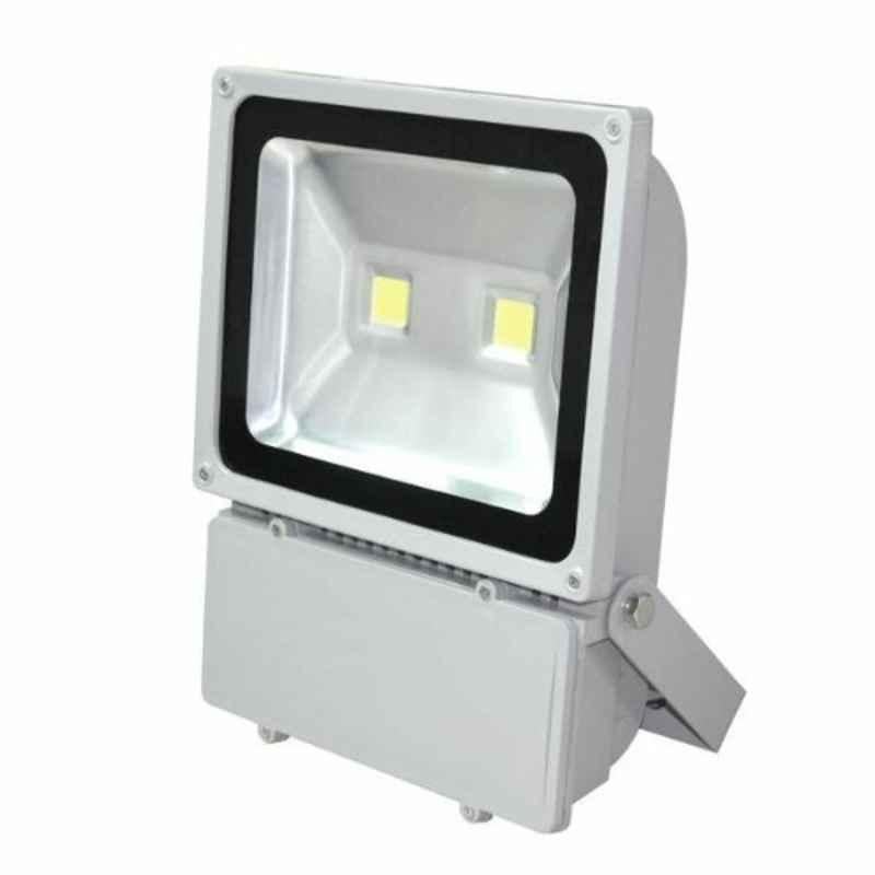 Pro-Led 100W 100-265V Cool White Flood Light, LD-LF-F018L