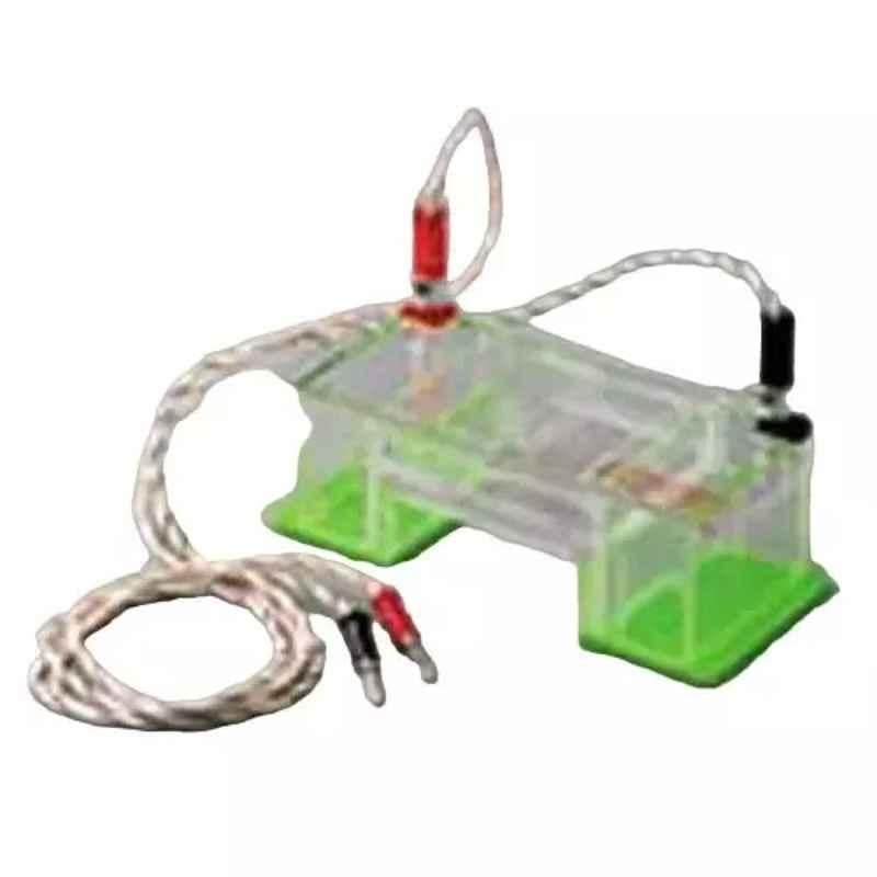 Lab Plus Submarine Gel Electrophoresis, LP-7259