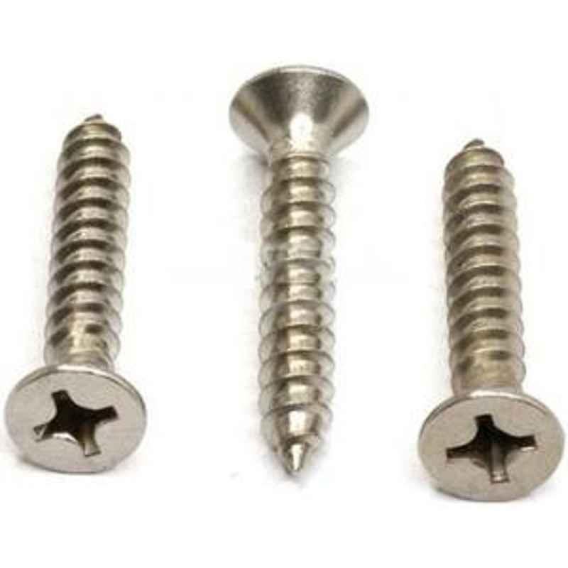 Canon CSK Head Self Tapping Screw Stainless Steel 6x16 mm