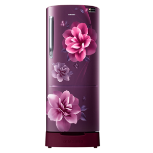 Samsung 192 Litre 3 Star Camellia Purple Direct Cooling Refrigerator, RR20R282ZCR