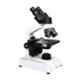 Droplet SF 40B Lab Binocular Head Microscope with Halogen Bulb Light, LAB020