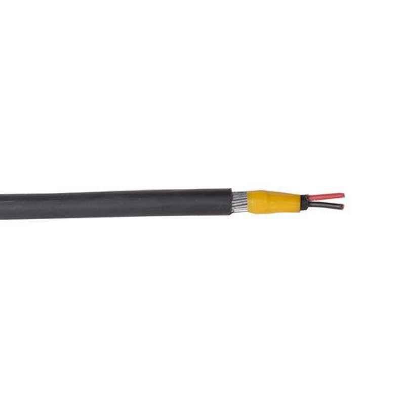 Polycab 6 Sqmm 2 Core Aluminium Armoured High Tension Cable, A2XFY, Length: 100 m