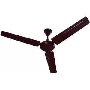 Crompton Surebreeze Sea Sapphira 51W 1 Star 3 Blade Lustre Brown Ceiling Fan, CFSBSSP48LB1S, Sweep: 1200 mm