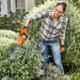 STIHL HSA 26 Cordless Shrug Shear Set with AS2 Battery & AL1 Charger, MTAK-BA-HE-1776