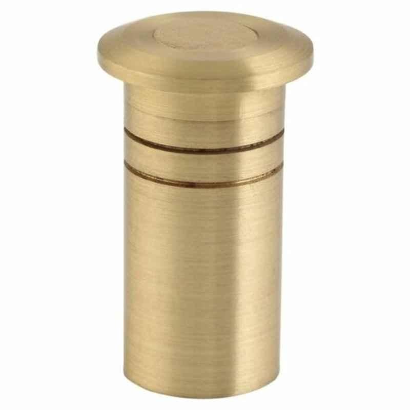 ACS 1.75 inch Gold Brass Dust Protector, AW-4616-22