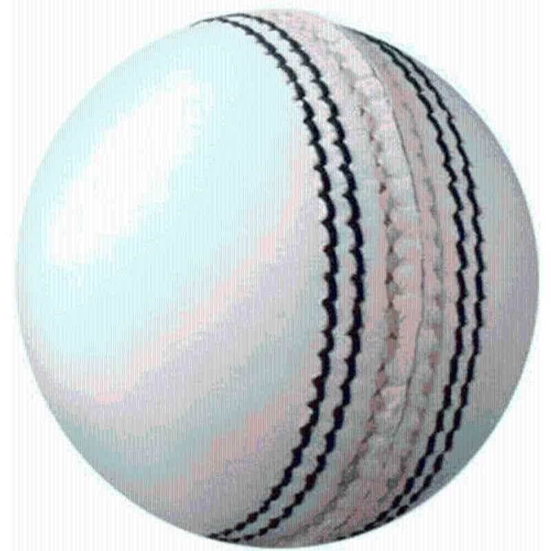 RNB White Leather Cricket Ball