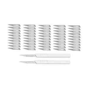 ChiggiWiggi 50 Pcs 39mm Carbon Steel Sharp Blade Set with 2 Handles for Carving & Paper Cutting, C145