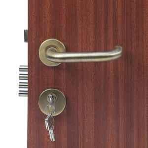 Handle Waala Rose MG-1103 60mm Stainless Steel Anitque Brass Finish One Side Key Cylindrical Plate Mortise Door Lock Set