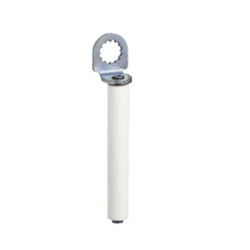 Schneider Ceramic Roller Lever Limit Switch, ZCY22