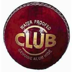 Shourya Traders Red Leather Cricket Ball for Kids