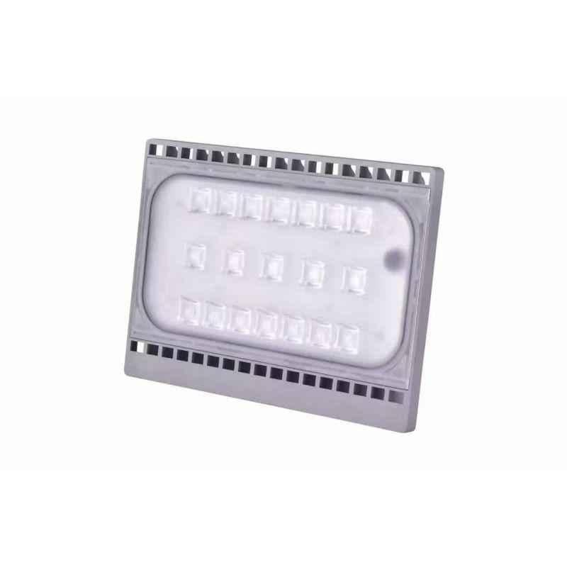 Bigapple 50W Cool White Taal Series LED Flood Light, 50WFLDCCW