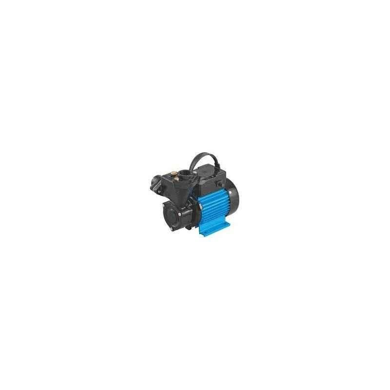 CRI ROYALE101- 1 HP Water Pump-25x25 mm, Single Phase