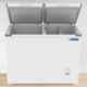 Blue Star 400L Hard Top Double Door Convertible Deep Freezer, CHFDD400MGPW