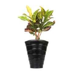 Blume Colosseum 10 inch Black Plastic Flower Pot