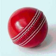 Mturbo 2 Cut Pcs Red Leather Ball for Cricket Leather Ball (Pack of 2) Red) Cricket Leather Ball (Standard) (Pack of 2)