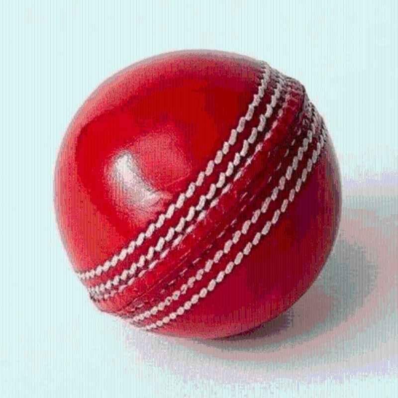 Mturbo 2 Cut Pcs Red Leather Ball for Cricket Leather Ball (Pack of 2) Red) Cricket Leather Ball (Standard) (Pack of 2)